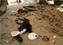 حمله به کاروان زیارتی امام حسین(ع) در کویته پاکستان
