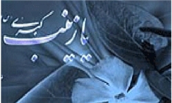 حضرت زینب(س)؛ پشتوانه سیاسی امام حسین(ع)